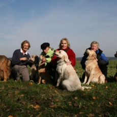 2008 10 18 Teamtest klein 0090