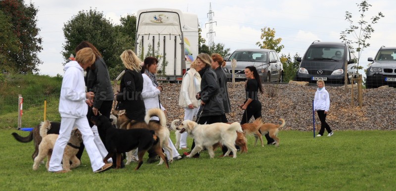 Gruppe4 Quadrille 21 09 08 002 21.09.2008 15 04 22