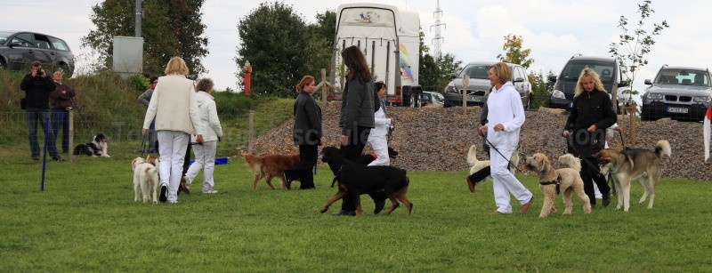 Gruppe4 Quadrille 21 09 08 002 21.09.2008 15 06 18