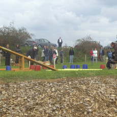 Sommerfest 2008 i 020