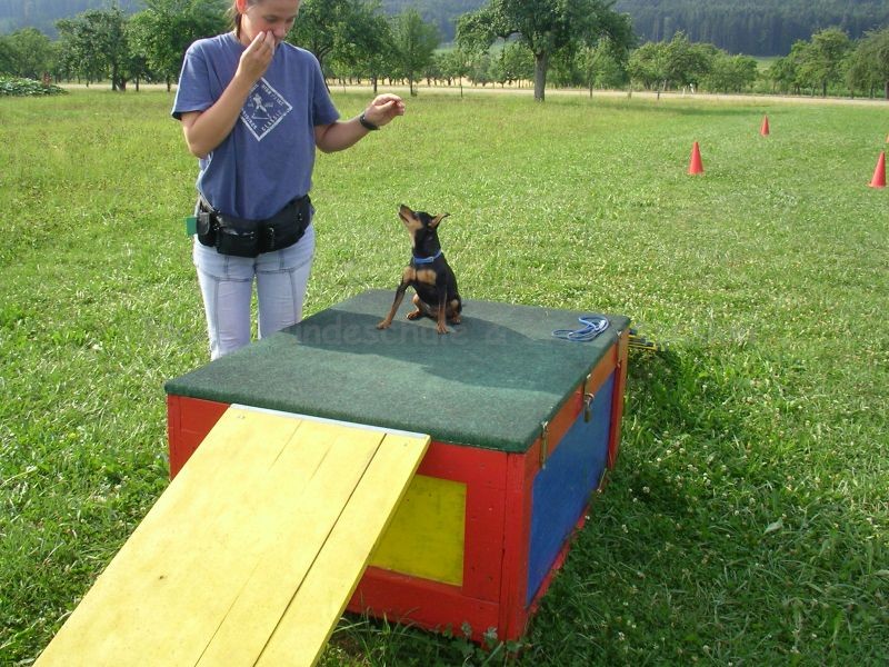 Uschi s Vormittagsgruppe0034 i